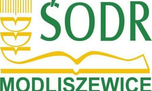 Zdjęcie do Szkolenie - Antybiotykoodporność