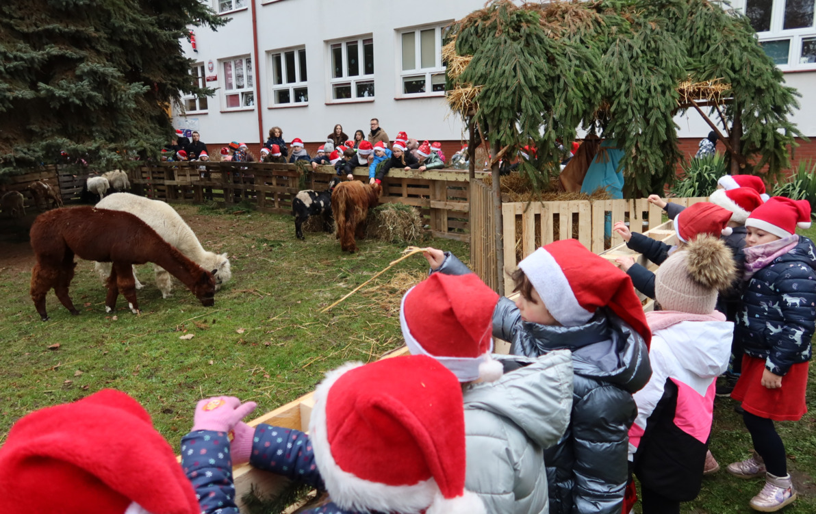żywa szopka bożonarodzeniowa