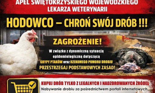 Apel do hodowców drobiu