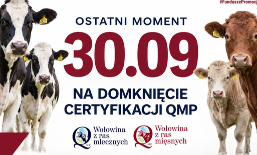 Certyfikat QMP — termin uzyskania upływa 30 września 2026 r.